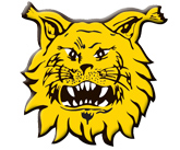 Ilves